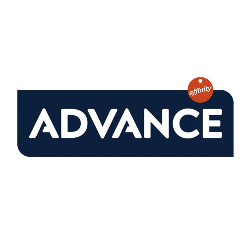 Advance 西班牙