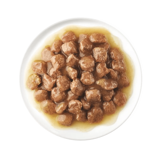 ADVANCE 85g ((Chicken)) Kitten 2-10 months 日常護理系列 日常幼貓濕糧 雞肉味 (AD56444) 85克X12原盒 (適合年齡2至12個月的幼貓, 懷孕或哺乳期的母貓) ADVANCE 85g ((Chicken)) Kitten 2-10 months 日常護理系列 日常幼貓濕糧 雞肉味 (AD56444) 85克X12原盒 (適合年齡2至12個月的幼貓, 懷孕或哺乳期的母貓)