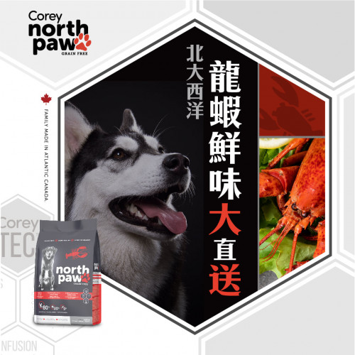 COREY North Paw DOG Grain Free Atlantic Seafood with