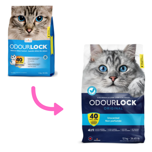 {新舊包裝隨機} Intersand Odour Lock 12kg 加拿大鎖臭40天無塵礦物砂 12kg【OL藍12kg】