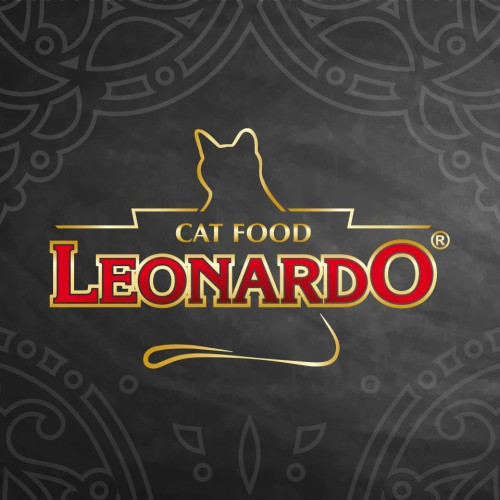 Leonardo 利安納度
