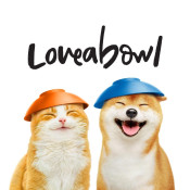 Loveabowl 無穀物貓罐頭