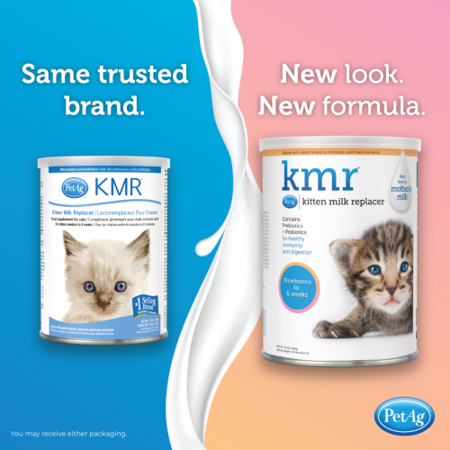[斷貨中, 未有返貨日期, 可預訂等貨到] PetAg KMR Kitten Milk Replacer 愛貓樂初生幼貓營養奶粉 (12oz) 340g (新包裝) (EXP: 