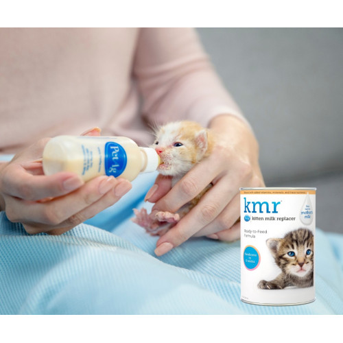 [斷貨中, 未有返貨日期, 可預訂等貨到] PetAg KMR Kitten Milk Replacer 愛貓樂初生幼貓營養奶粉 (12oz) 340g (新包裝) (EXP: 