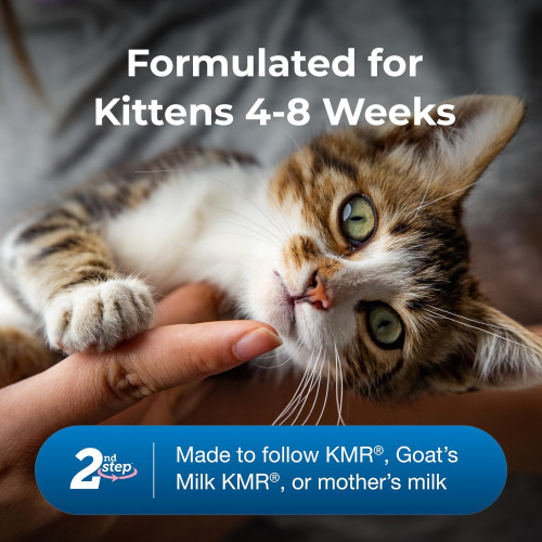 (EXP: 12月/2026) PetAg KMR 2ND Step Kitten Weaning Food (Milk) 第二階段幼貓營養奶粉 (14oz) 397g (新包裝) 