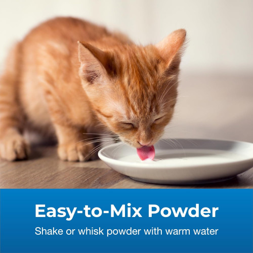 (EXP: 12月/2026) PetAg KMR 2ND Step Kitten Weaning Food (Milk) 第二階段幼貓營養奶粉 (14oz) 397g (新包裝) 