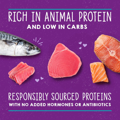 Stella & Chewy's CAT 無穀物主食罐 Carnivore Cravings Purrfect Pate 滋味骨湯肉醬 Adult Salmon, Tuna & Mackerel 成貓 三文魚+吞拿魚+鯖魚 5.2oz (PPC-STM-5.2) (正價$26.5)