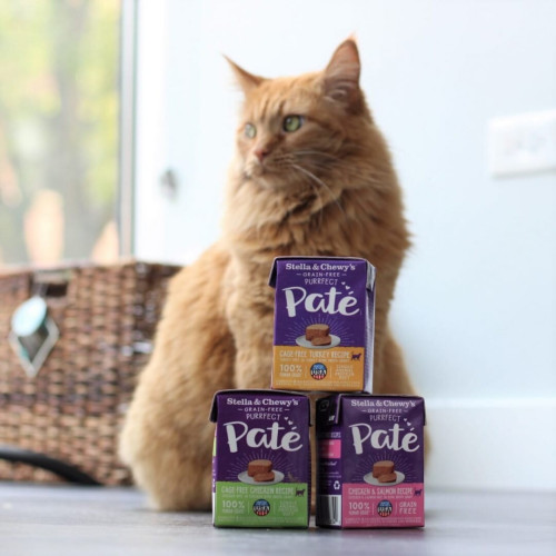 貓濕糧方盒 Purrfect Pate / Marvelous Morsels 