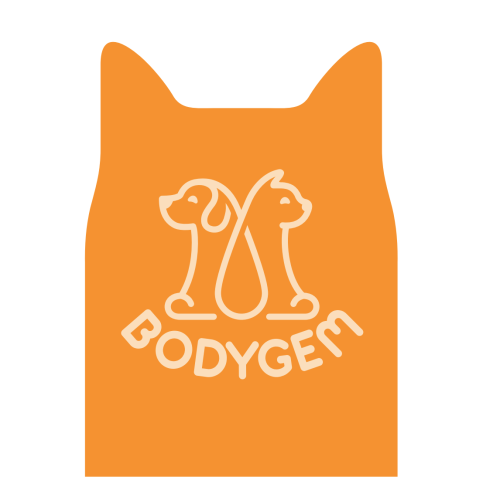 BodyGem