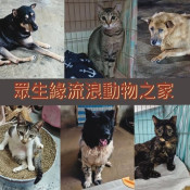眾生緣流浪動物之家