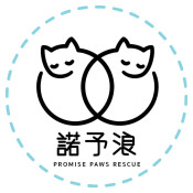 獨立貓義工 - 諾予浪 