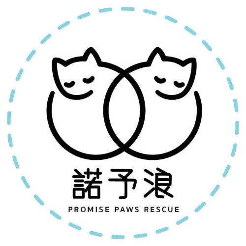 獨立貓義工 - 諾予浪 