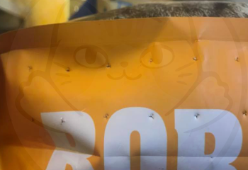 點解貓糧袋有小孔