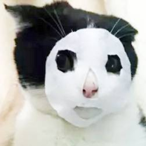 抗衰老