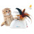 GiGwi 貓玩具 7022 / 75311 Pet Droid 電動貓玩具 躲貓貓