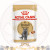 Royal Canin CAT (FBN) "British Shorthair" Adult Cat (Gravy) 85g X 12 原盒 純種系列 英國短毛成貓專屬主食濕糧(肉汁) (3169000) (原裝行貨)